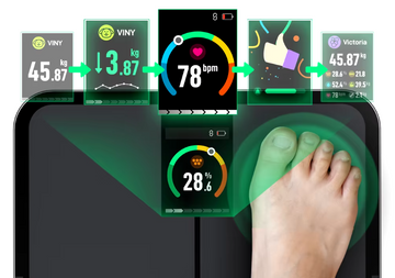 body composition scale